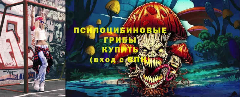 Галлюциногенные грибы Psilocybe  Череповец 